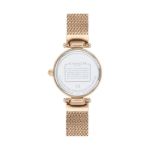 Picture of Coach Park Watch