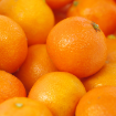 Picture of Mandarin